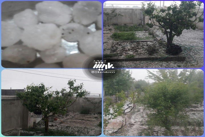 بارش تگرگ و خسارت دیدن زمین های کشاورزان / روستای جبل کندی