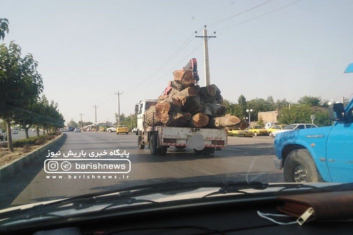 حمل درختان با قدمت چتد ساله در خیابان های ارومیه