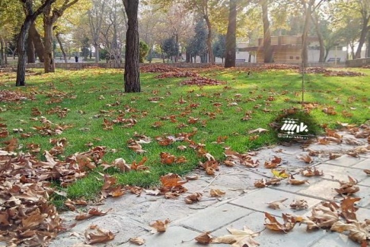 فصل ریزش برگهای پاییزی/ پارک ساعت