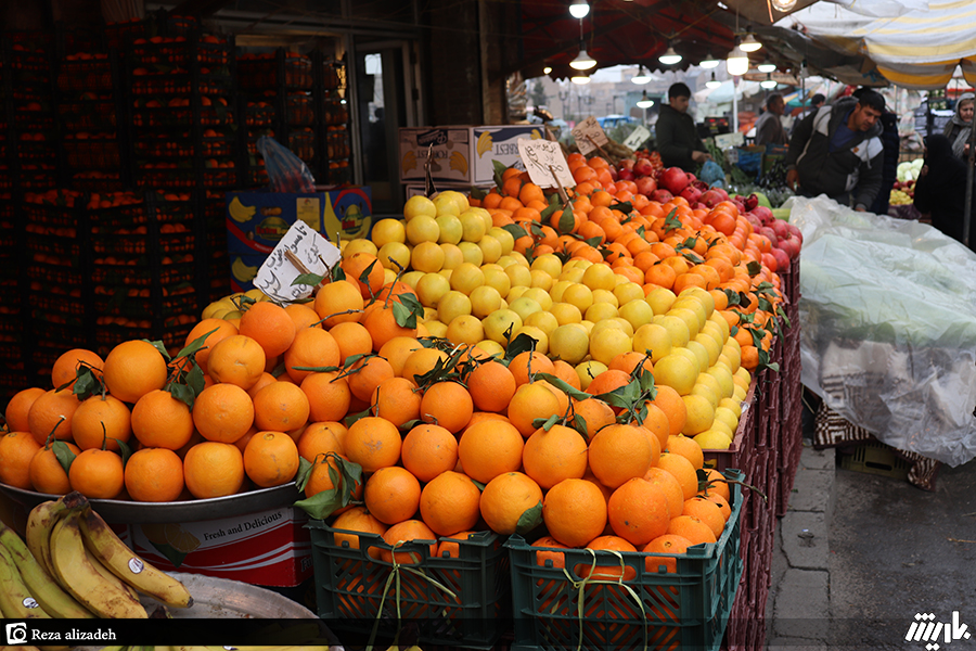 سرمازدگی؛ علت اصلی توزیع میوه بی‌کیفیت در بازار