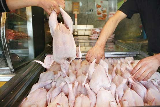 قطعه‌بندی مرغ در مراکز عرضه و فروش غیرقانونی است