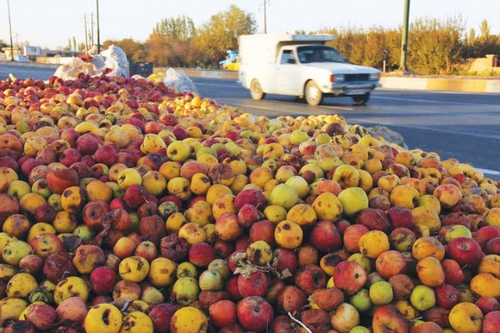 تکرار روزهای تلخ بازار سیب در آذربایجان‌غربی