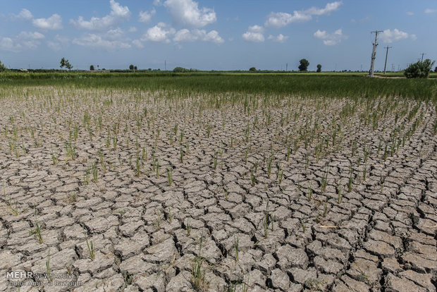 45 درصد آذربایجان غربی درگیر خشکسالی است