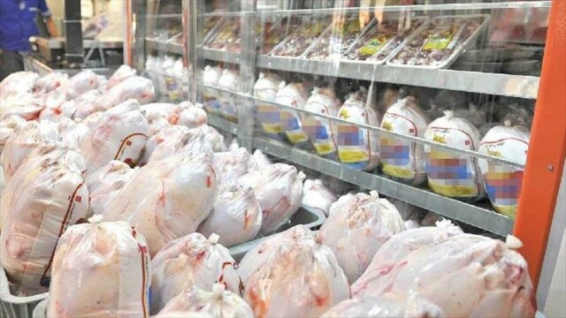 نوسان قیمت دلیل اصلی افزایش قیمت مرغ در بازار است