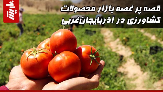 اقتصاد کشاورزی آذربایجان‌غربی جولانگاه دلالان فرصت‌طلب