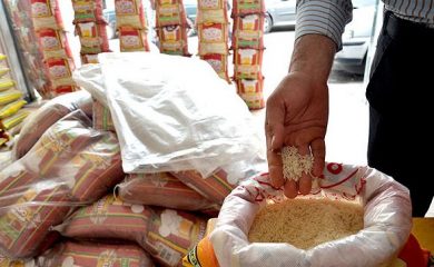 غیبت برنج ایرانی بر سر سفره‌ها و جولان وارداتی‌ها 