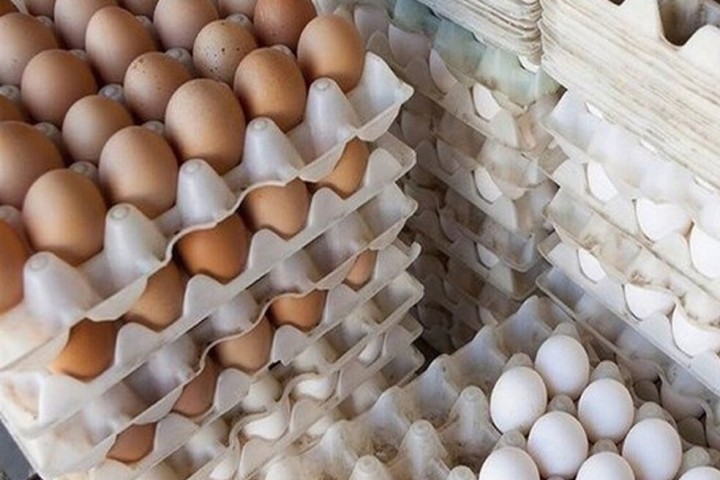 بی سروسامانی بازار تخم مرغ همچنان ادامه دارد/ آیا مسئولان به آشفته بازار مواد پروتئینی توجهی دارند؟