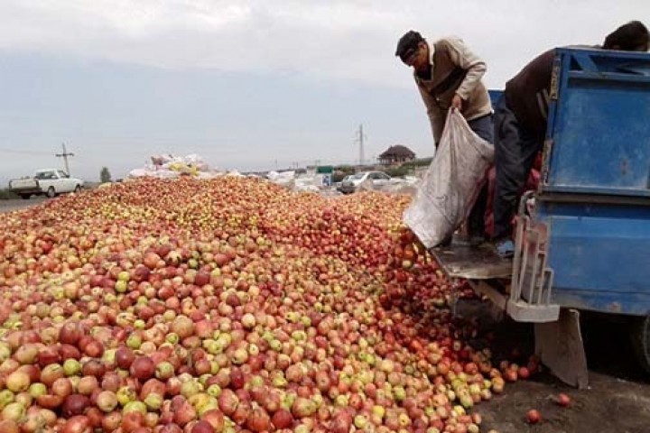 تراژدی غمگین و تکراری انباشت سیب در جاده های آذربایجان غربی