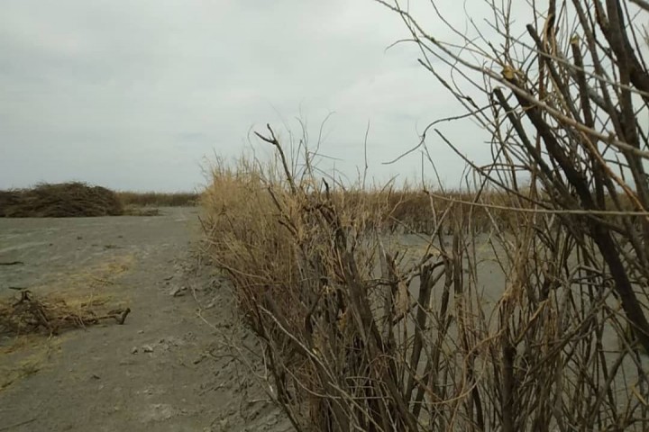 مصرف بی‌رویه از منابع آب علت نابودی دریاچه ارومیه