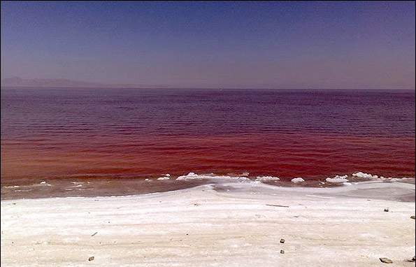 علت قرمز شدن سطح آب دریاچه ارومیه چه بود؟