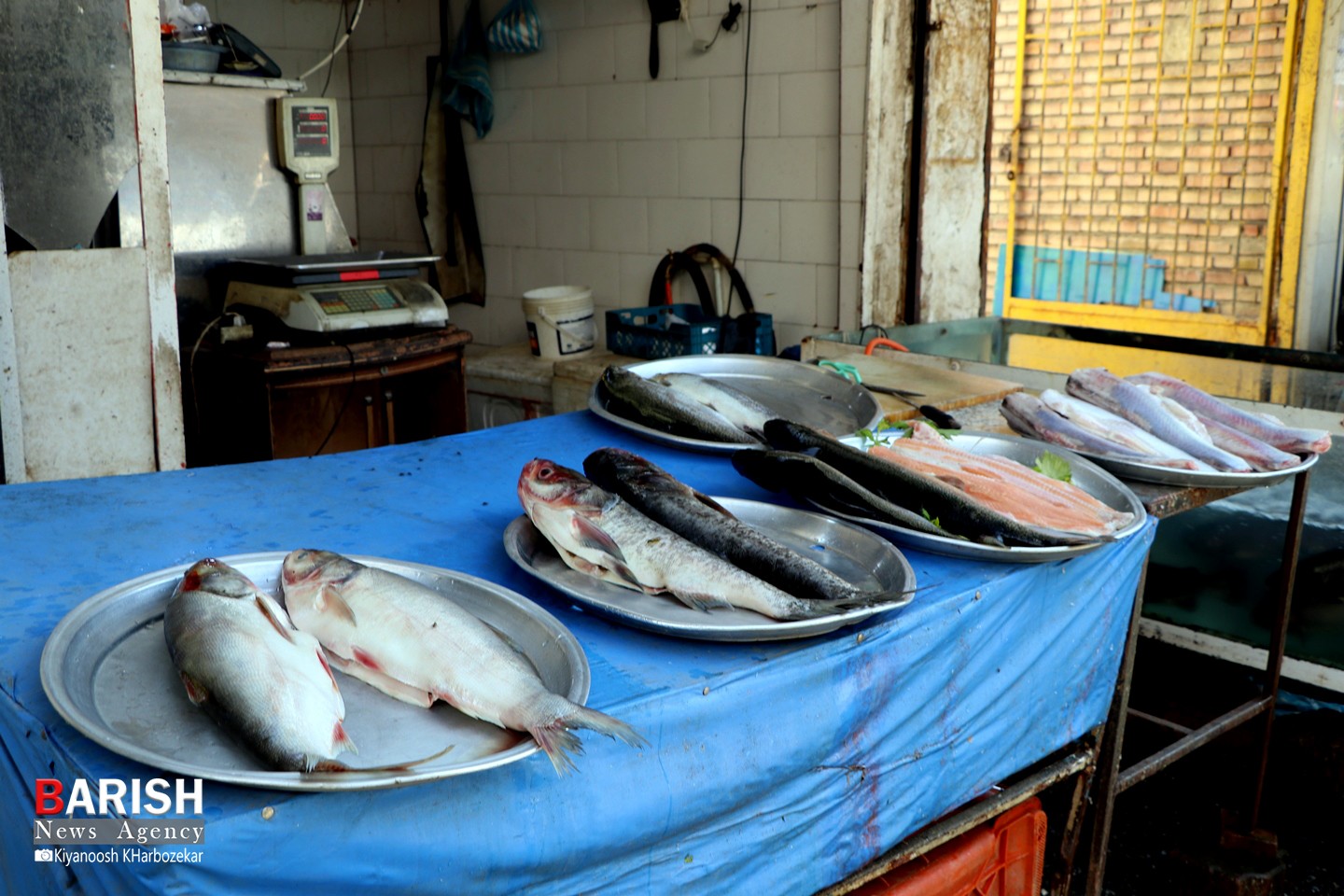 بازار ماهی فروشان ارومیه