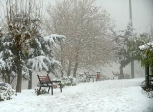 بارش برف در کشور از روز سه شنبه