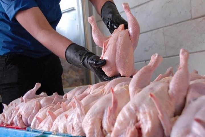 قیمت مرغ در ارومیه 16 هزار تومان است