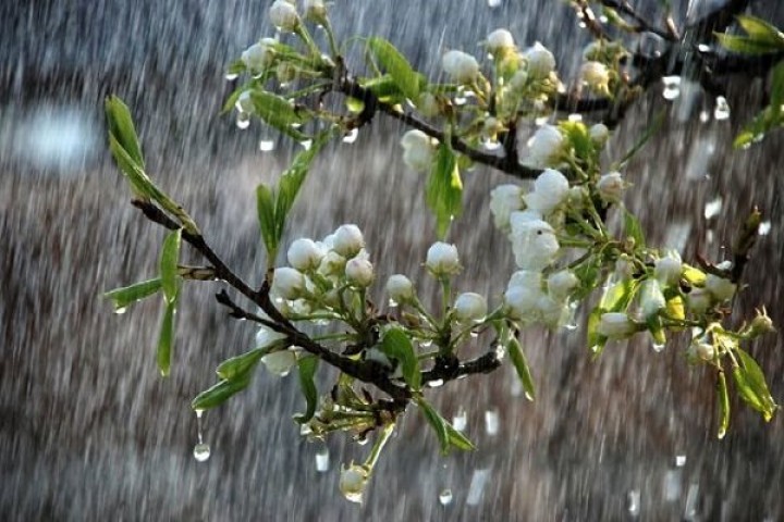 تدوام بارش باران در آذربایجان غربی