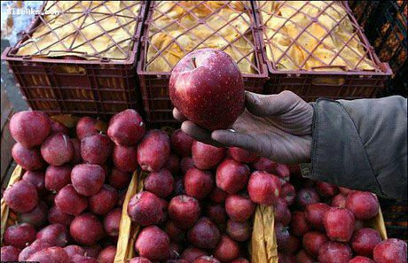 افزایش 3 برابری صادرات سیب نسبت به سال گذشته/58 هزار سیب از استان صادر شده است