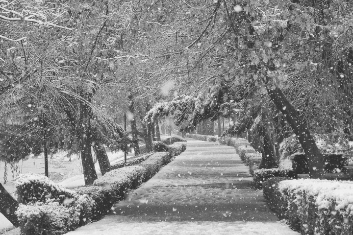 تداوم بارش پراکنده برف در آذربایجان‌غربی