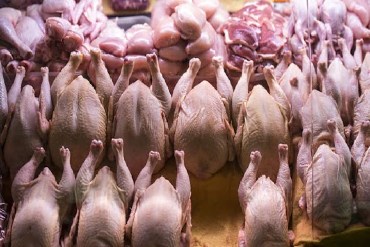 تلاطم بازار مرغ در ارومیه / سفره های مردم هر روز خالی تر از دیروز