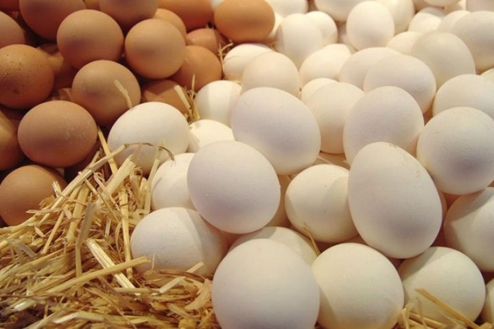 تخم‌مرغ هم از قافله گرانی عقب نماند