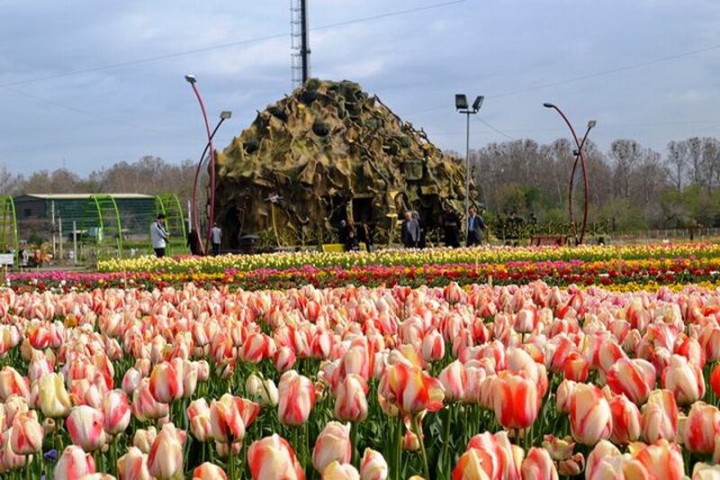 فضای شهر ارومیه با کاشت ۳ میلیون بوته گل عطر آگین شده است