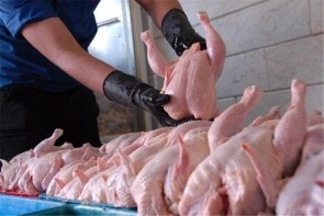 افزایش قیمت تولید دلیل اصلی افزایش قیمت مرغ است