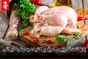 بازگشت تدریجی مرغ پرکشیده به سفره ایرانی