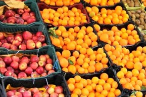 عرضه میوه طرح تنظیم بازار در بیش از 100 نقطه شهری