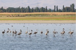 پارک ملی دریاچه ارومیه تابلوی بکر طبیعت برای گردشگری