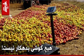 کسی صدای کشاورزان آذربایجان‌غربی را نمی‌شنود