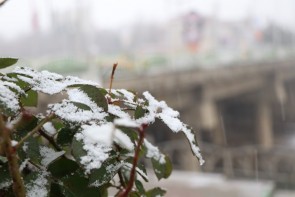 بارش اولین برف زمستانی ارومیه را سفید پوش کرد
