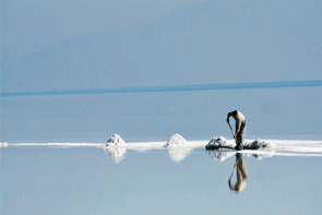امضای سند همکاری در احیای دریاچه ارومیه