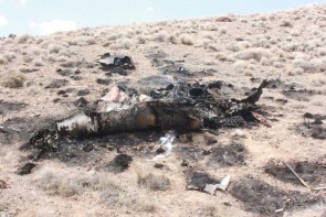 سقوط جنگنده F7 در حوالی شهرستان نائین+تصاویر