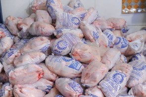 مرغ منجمد با هدف تنظیم بازار و تامین نیاز مردم آذربایجان غربی توزیع شود