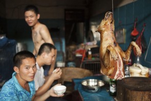 تقاضای فعالان حقوق حیوانات در چین برای پایان دادن به کشتار و خوردن سگها + تصاویر