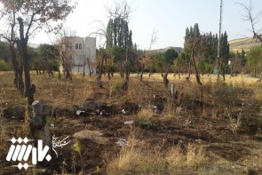 نابود کردن عمدی یک باغ در شهر ارومیه