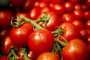 آشفتگی بازار گوجه فرنگی در ارومیه