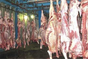 نظارت جدی بهداشت برای عرضه گوشت در بازار