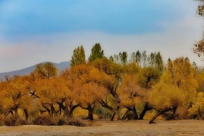 آغاز افزایش نامحسوس دما در سطح استان