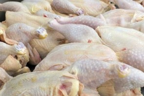 گوشت مرغ در ارومیه نایاب شد!