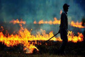 فرهنگ سازی لازمه جلوگیری از آتش سوزی‌های مکرر در ارومیه