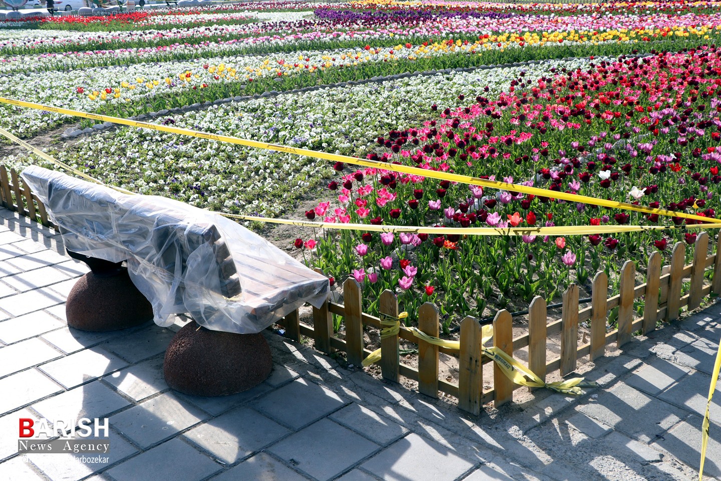 گل های بهاری گوللرباغی "پارک دانشجو" در قرنطینه