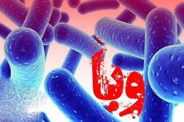 تاکنون هیچگونه موردی از بیماری وبا در استان مشاهده نشده است