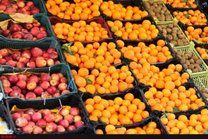  آغاز توزیع میوه طرح تنظیم بازار در ۴۱۸ مرکز عرضه در استان