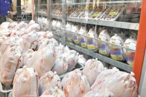 نوسان قیمت دلیل اصلی افزایش قیمت مرغ در بازار است