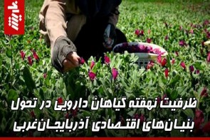 ظرفیت گیاهان دارویی در توسعه اقتصاد آذربایجان‌غربی