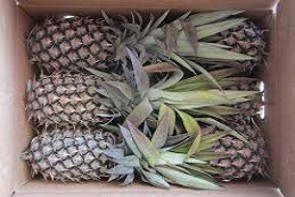 کشف 4 تن آناناس قاچاق در ارومیه