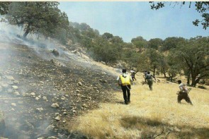 آتش سوزی مارمیشو در منطقه صعب العبور و سختی قرار دارد/تنها راه مهار آتش استفاده از هلی کوپتر است