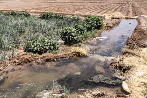 آبیاری سنتی در بخش کشاورزی، عاملی مهم جهت تشدید بحران کم آبی در آذربایجان غربی