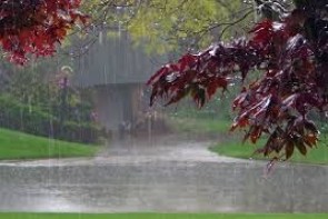 بارش 15 میلی متری باران در شاهین دژ/سامانه بارشی فردا از استان خارج می شود