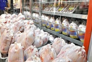 بررسی دلایل کمبود مرغ در بازار ارومیه