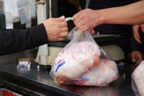 بازار عرضه گوشت مرغ در آذربایجان غربی متعادل است